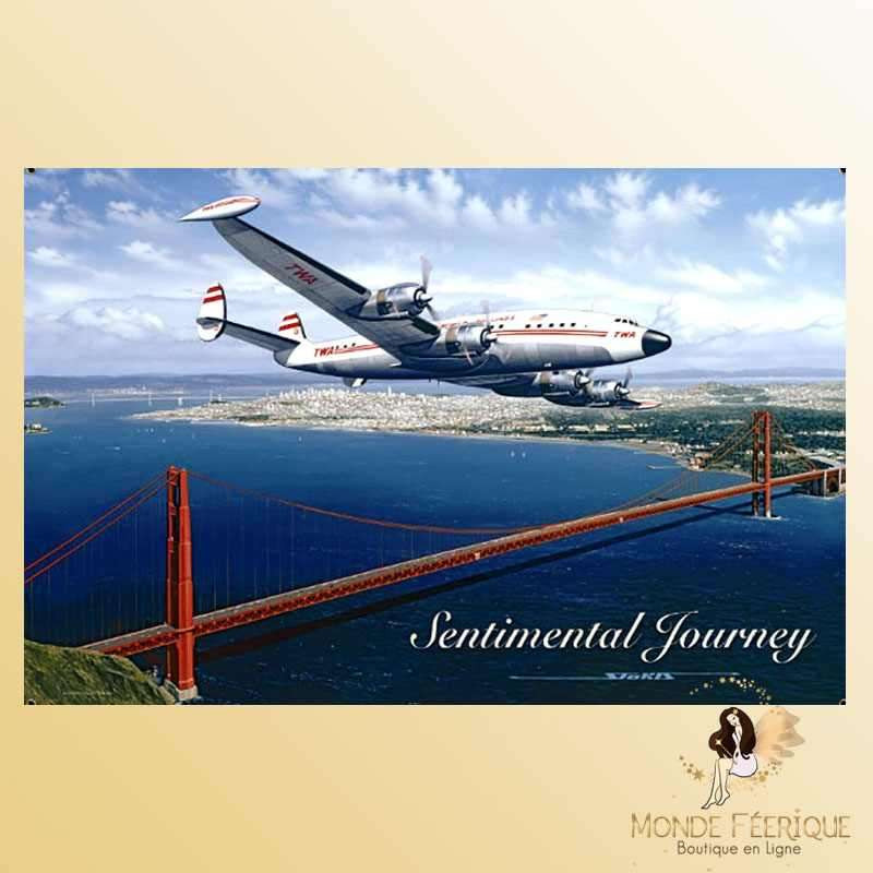 plaque metal avion san francisco californie usa plaque deco murale