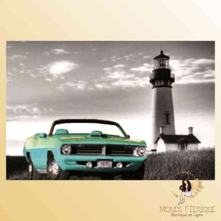 plaque metal deco ancien voiture vintage champs