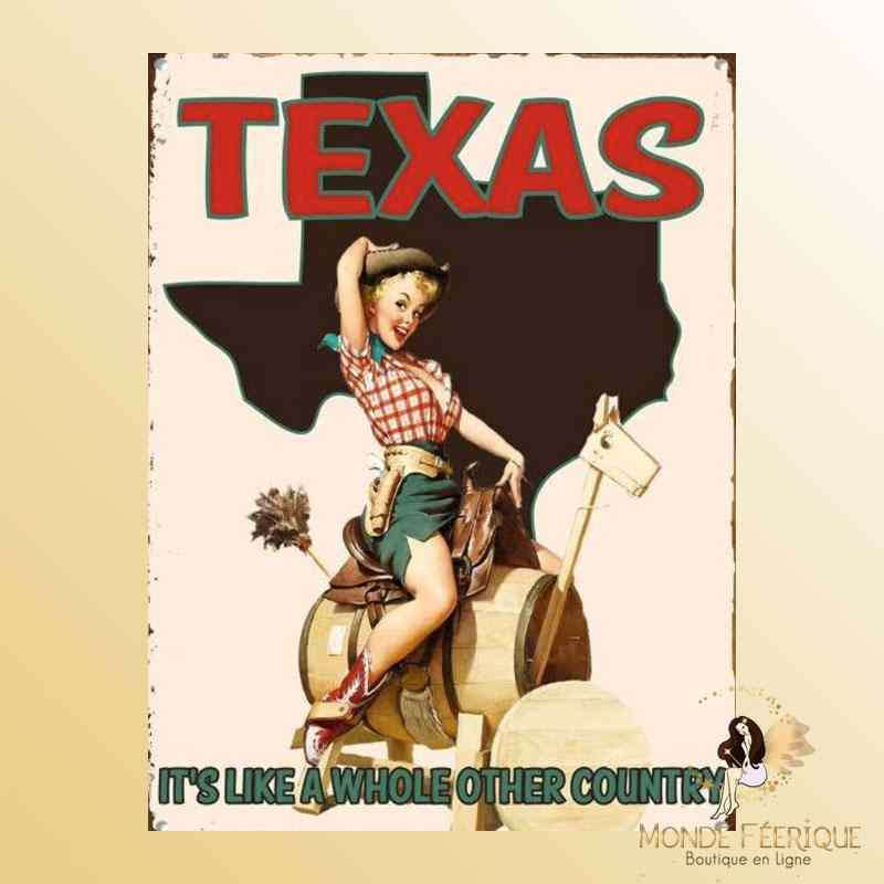plaque metallique texas USA Déco Vintage