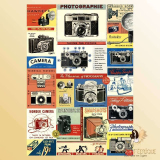 plaque publicitaire photo publicité photographie decoration murale vintage publicite appareil photo