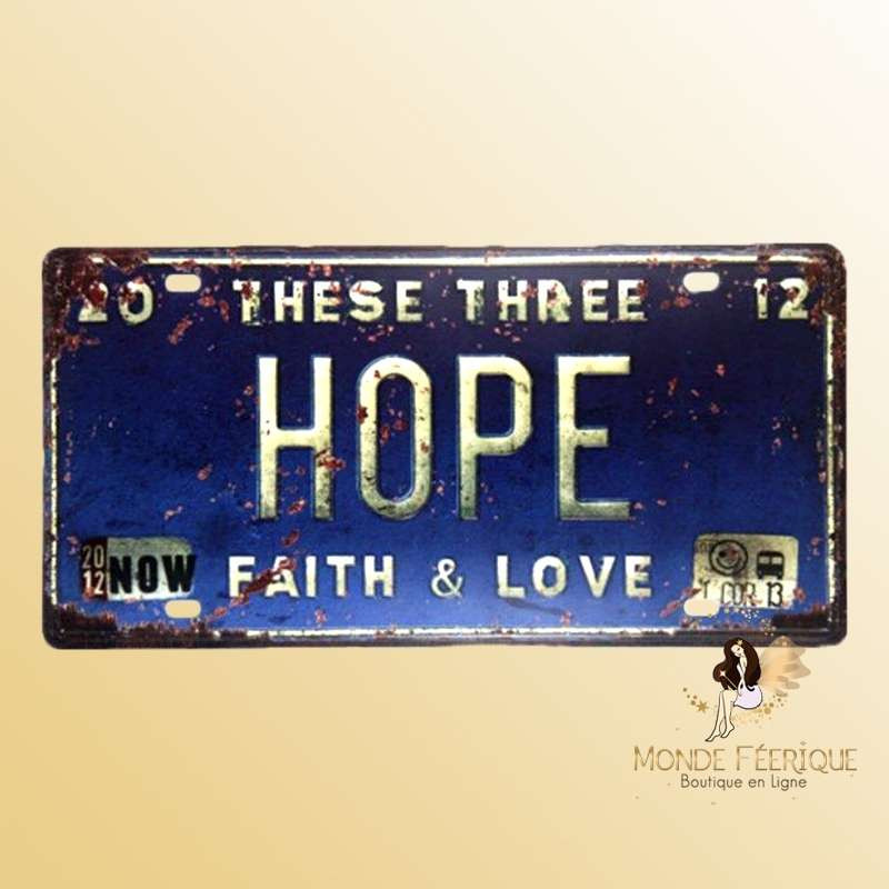 plaque decoration voiture USA positif