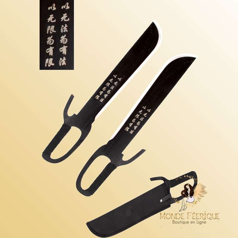 papillon de wushu