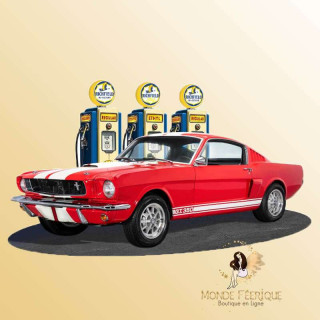 plaque relief voiture americaine