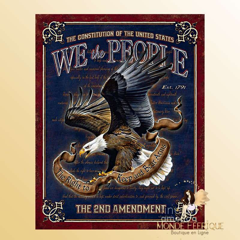 Plaque Vintage constitution americaine