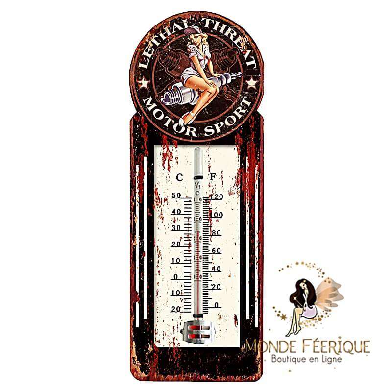 Plaque Vintage Thermometre 1