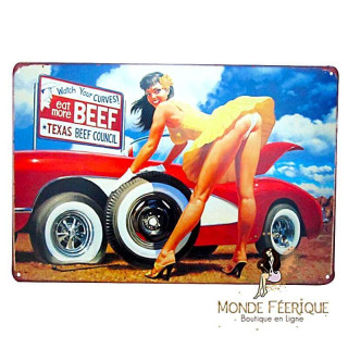 Plaque Décoration Vintage -- 20x30cm