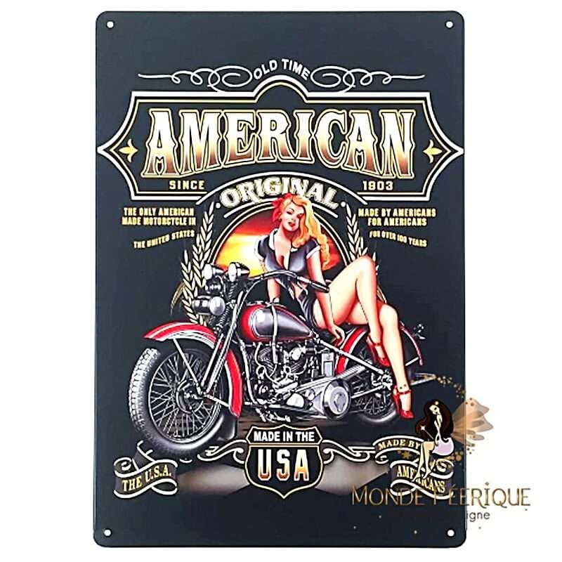 PLAQUE DECORATION AMERICAN LEGENDE