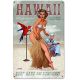 Plaque Décoration Vintage Hawai Affiche Publicitaire -- 20x30cm
