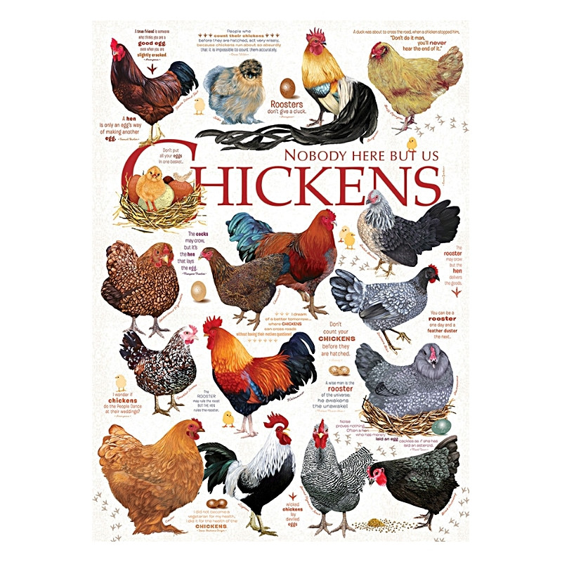 Plaque Décoration Vintage Chicken