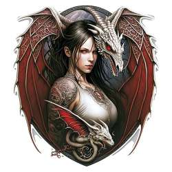 Plaque Métal Fantasy Dragon et Elfe Rouge