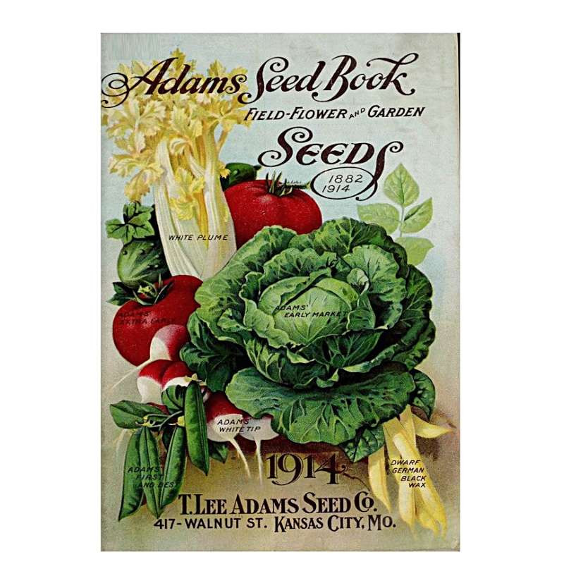 Plaque rétro Légumes