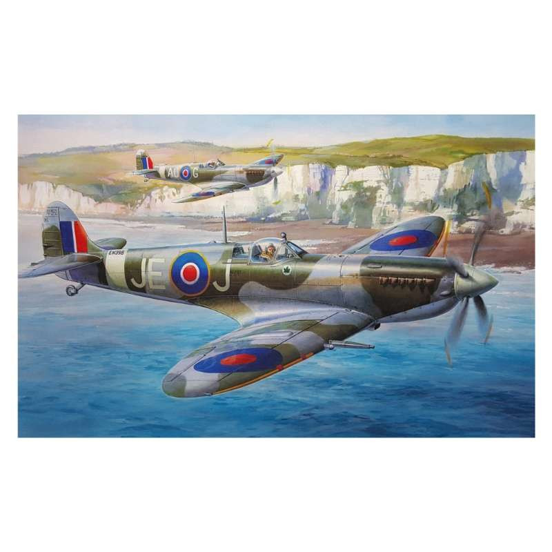 Plaque Décoration Avion Militaire SpitFire