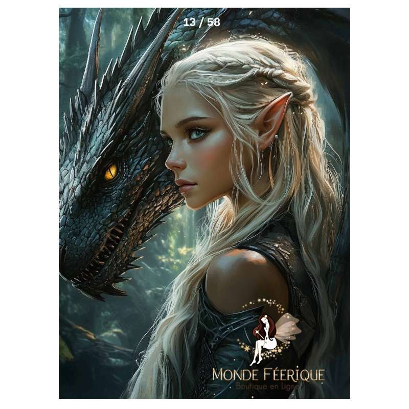 Plaque Fantasy Elfe et Dragon