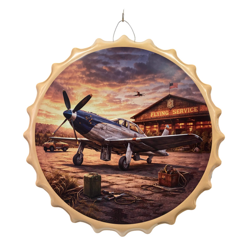 Plaque Vintage Avion Flying Service