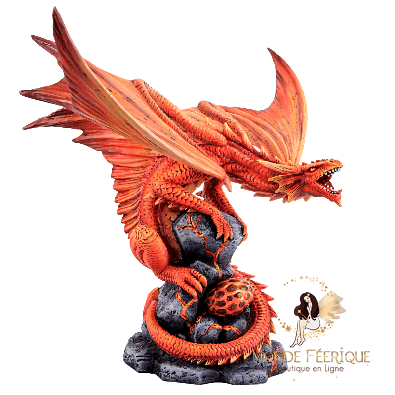 ou trouver des dragons